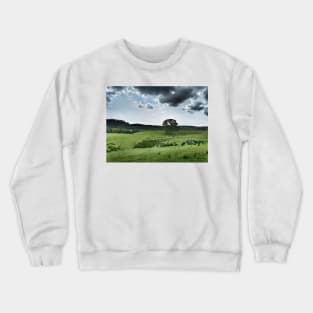 The contrast of midday -  farmland near Crieff, west perthshire, Scotland, UK Crewneck Sweatshirt